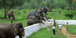 Kodagu