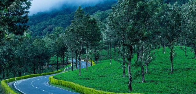 Nilgiris
