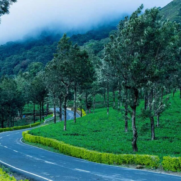 Nilgiris