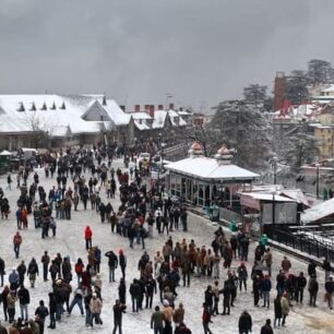 Shimla