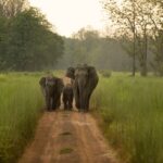 Where to visit in India with kids