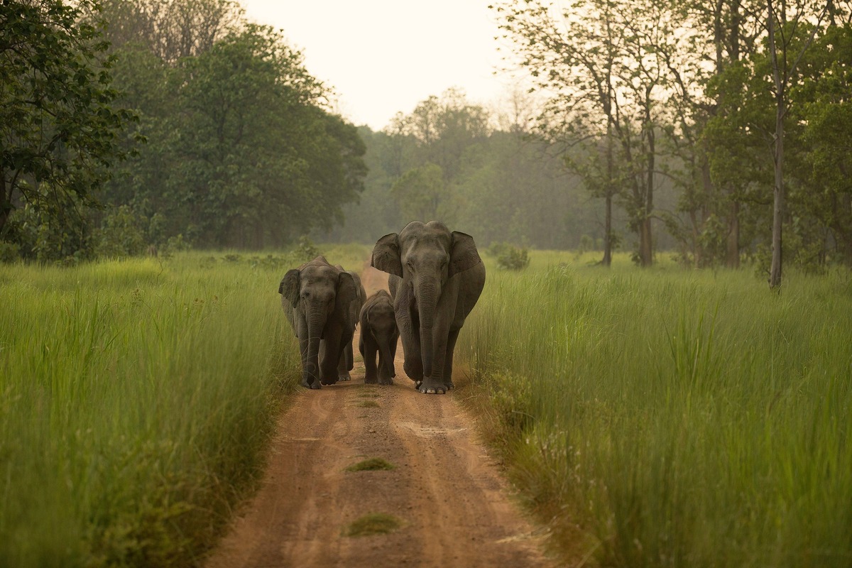 Where to visit in India with kids
