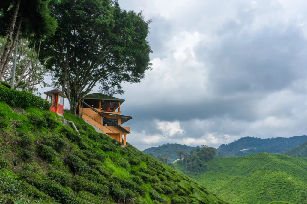 Munnar, Thekkady