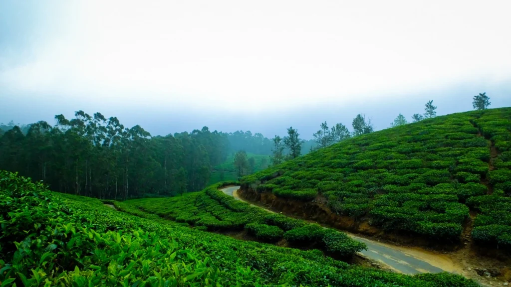 Munnar
