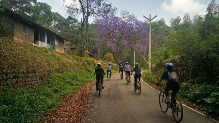 Kodaikanal group tour package cycling through scenic forest roads with tourists enjoying nature