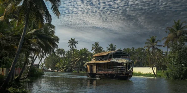 Munnar Package From Kochi Package Slider