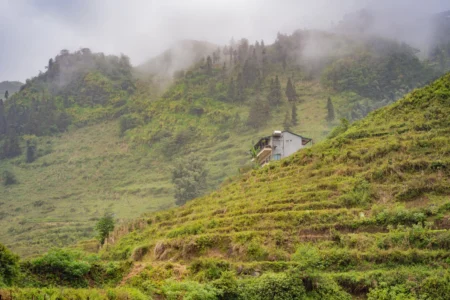 Munnar, Thekkady, Kumarakom