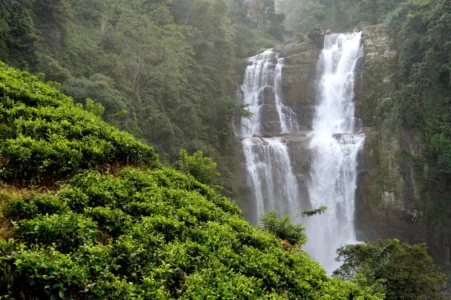 Coorg Mysore