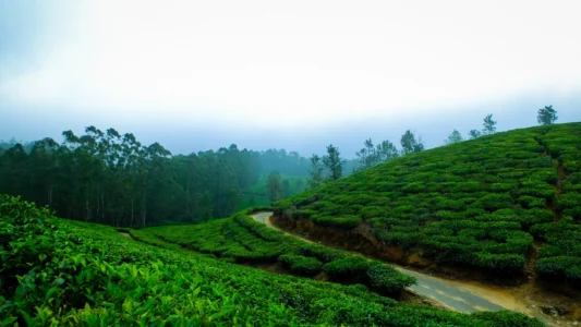 Munnar